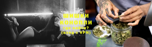 амф Арсеньев