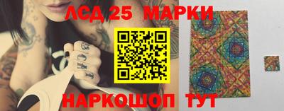 крисы Аргун