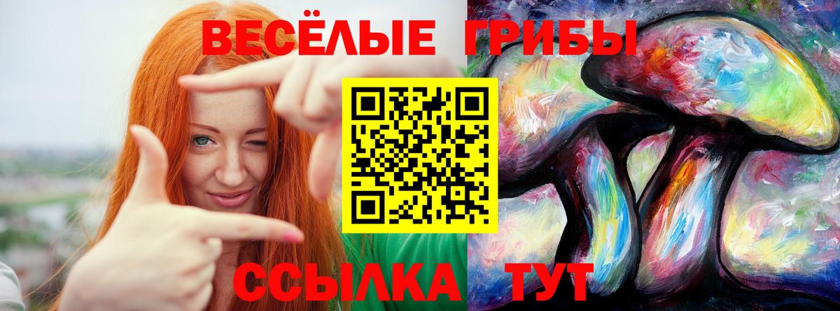 Псилоцибиновые грибы ЛСД Балахна