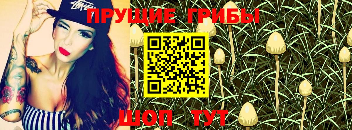 Галлюциногенные грибы GOLDEN TEACHER  Псилоцибиновые грибы Psilocybine cubensis  Вход с VPN  Балахна 